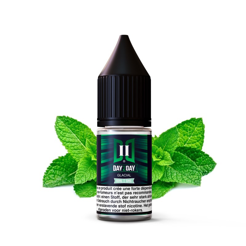 10ML - Day2Day Glacial NicSalt Hybride