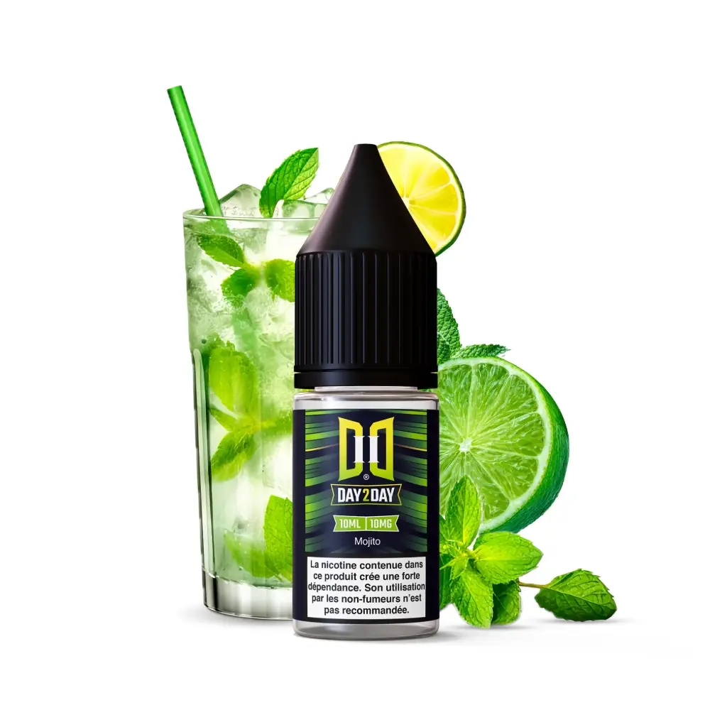 10ML - Day2Day Mojito NicSalt FR
