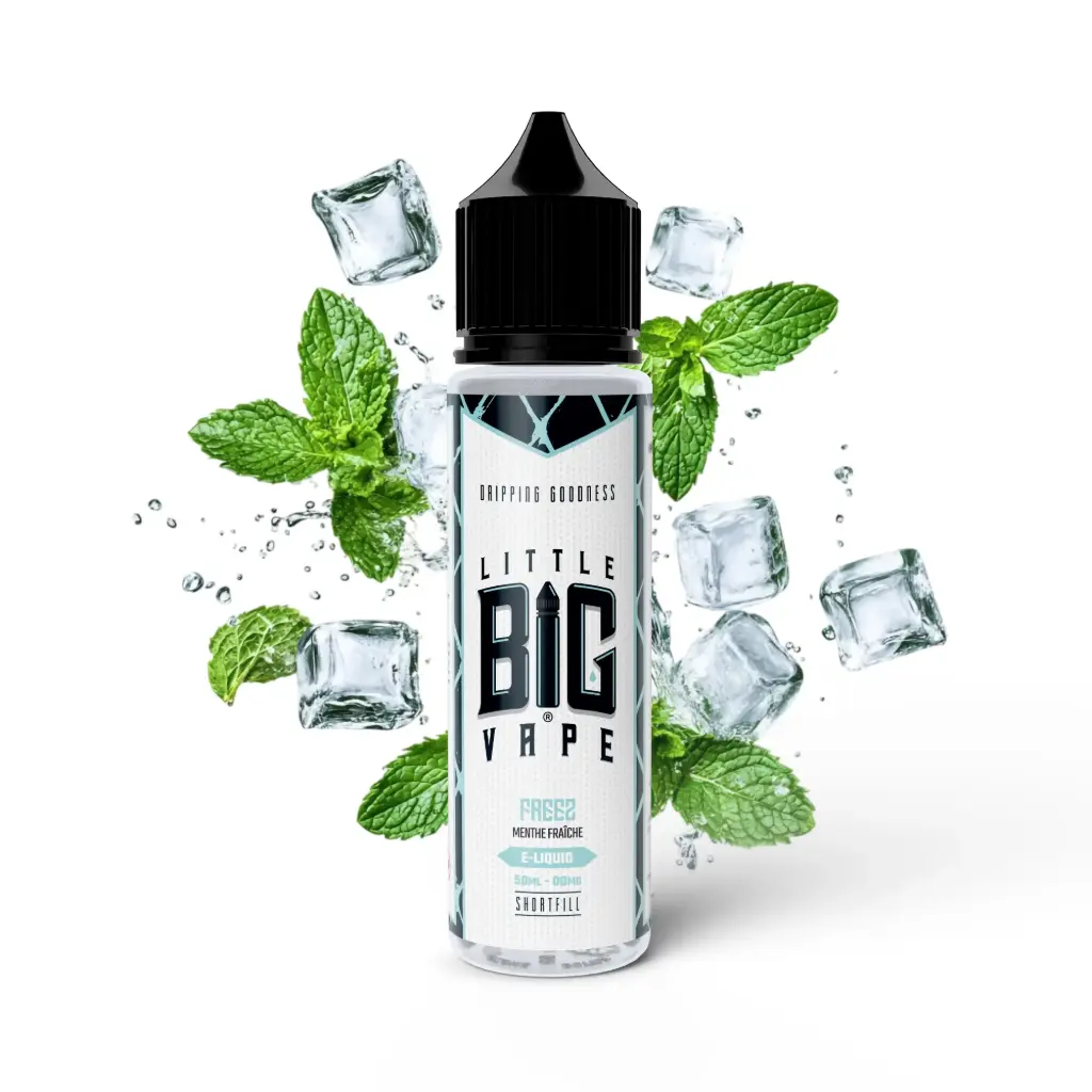 50ML - Little Big Vape - Freezing 0MG VFR