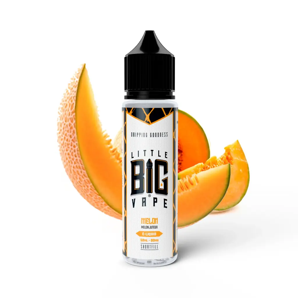 50ML - Little Big Vape - Melon 0MG VFR