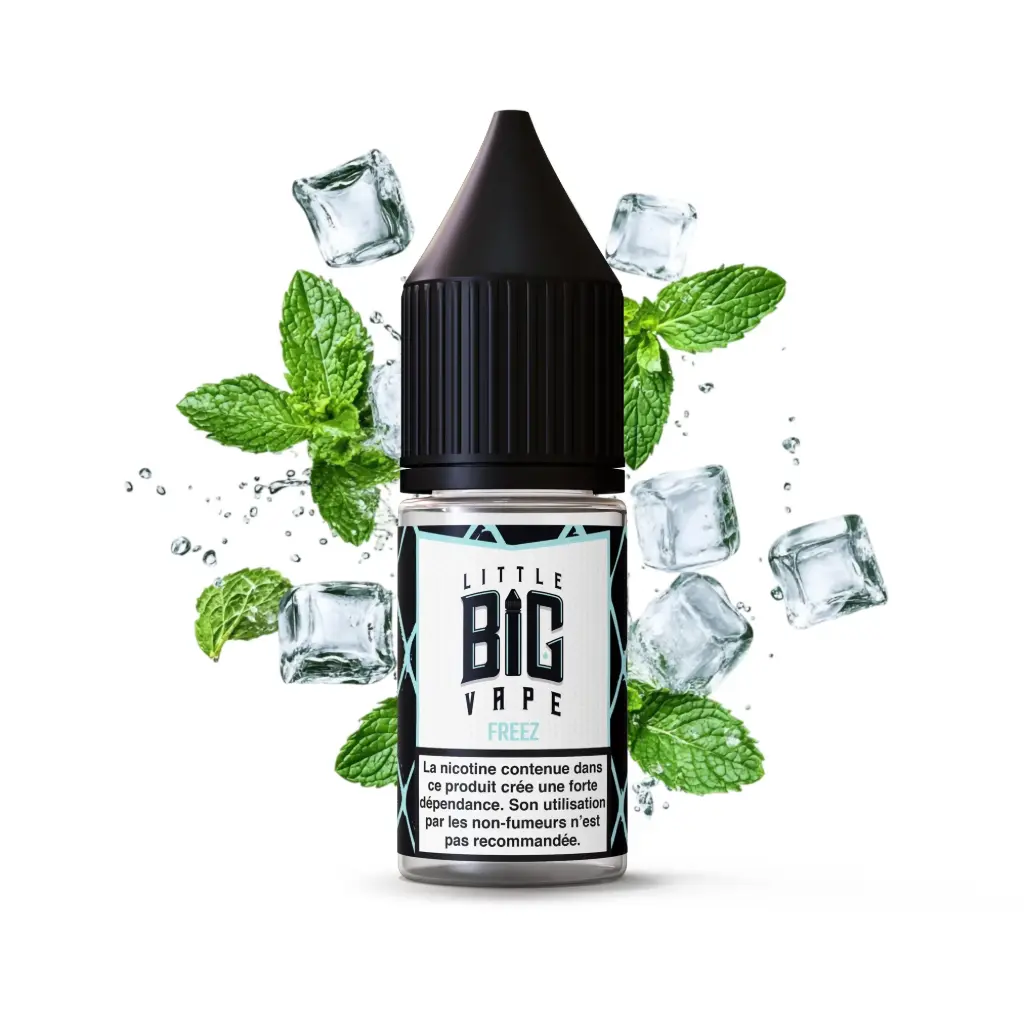 10ML - Little Big Vape - Freezing NicSalt FR