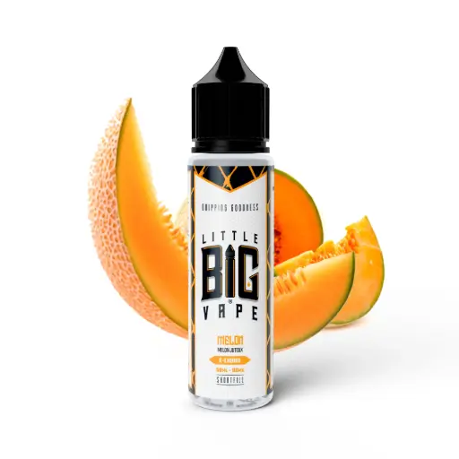 50ML - Little Big Vape - Melon FR